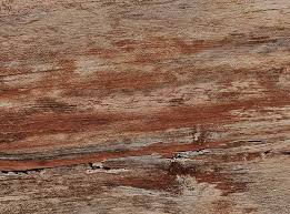 Tapa tornillo Autoadhesivo PVC Origen Andino (50uds.)